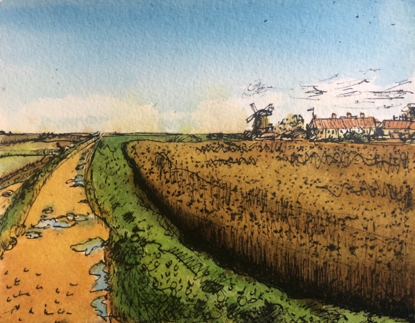 cley marshes ink dwg sml